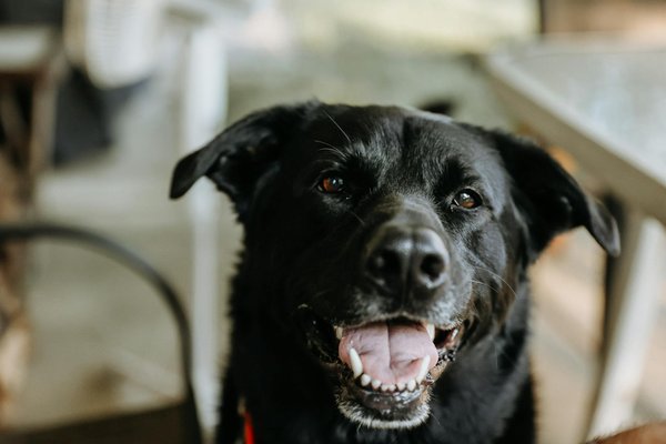 Welke initiatieven zijn er voor duurzame visserij?